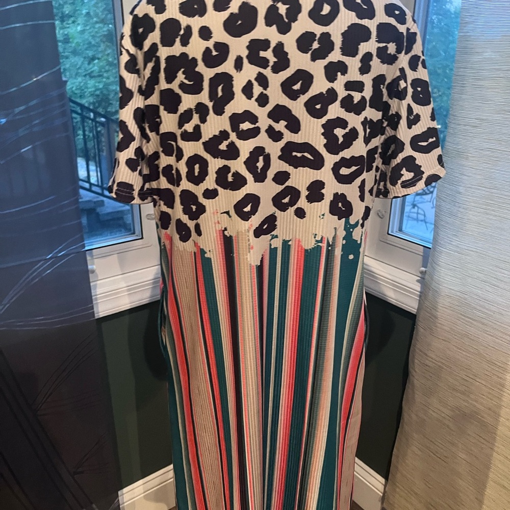 Crazy Train Leopard and Striped Above Knee Dress - Picture 7 of 9